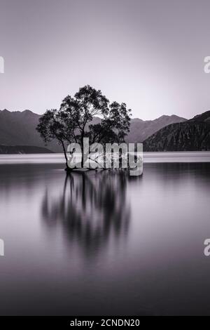 Lac Wanaka, Blue Hour, Parc national Mount-Aspiring, site classé au patrimoine mondial de l'UNESCO, Otago, Île du Sud, Nouvelle-Zélande, Pacifique Banque D'Images