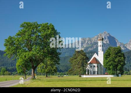 Église de pèlerinage de Saint-Coloman, Schwangau, Allgau, Schwaben, Bavière, Allemagne, Europe Banque D'Images