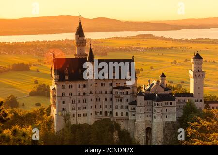 Château de Neuschwanstein au coucher du soleil, vue sur le lac Forggensee, Schwangau, Allgau, Schwaben, Bavière, Allemagne, Europe Banque D'Images