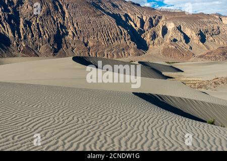 Dunes de sable de Nubra Valley, Ladakh, Inde Banque D'Images