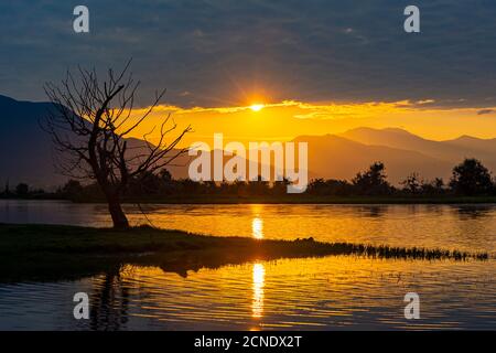 Lever de soleil sur le lac Kerkini, Macédoine, Grèce, Europe Banque D'Images