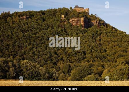 Château de Nideggen au-dessus de la vallée de Rur, Nideggen, Eifel, Rhénanie-du-Nord-Westphalie, Allemagne, Europe Banque D'Images