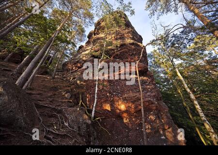 Grès coloré roches Effles, Nideggen, Rureifel, Eifel, Rhénanie-du-Nord-Westphalie, Allemagne, Europe Banque D'Images