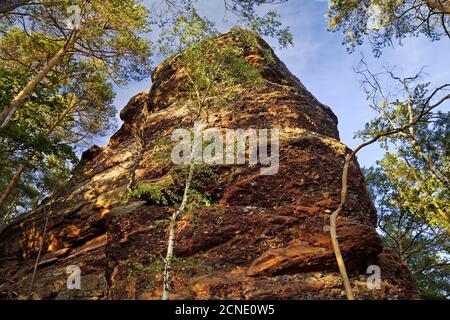 Grès coloré roches Effles, Nideggen, Rureifel, Eifel, Rhénanie-du-Nord-Westphalie, Allemagne, Europe Banque D'Images