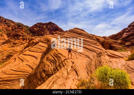 Femme randonnée dans le parc national de Zion, Utah, États-Unis d'Amérique Banque D'Images