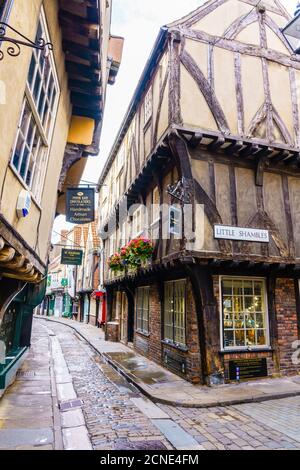 The Shambles, une rue médiévale préservée à York, Yorkshire du Nord, Angleterre, Royaume-Uni, Europe Banque D'Images