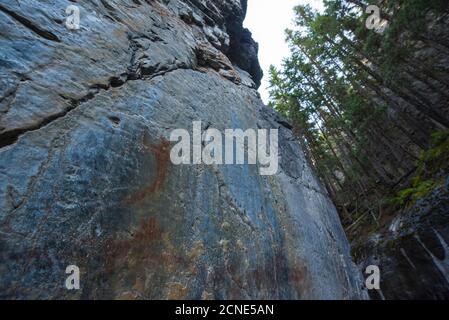 Pictogrammes indigènes anciens sur un mur de canyon, Grotto Canyon, Alberta, Canada Banque D'Images