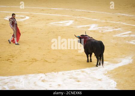 Saragosse, Espagne - 8 octobre 2014 : le taureau espagnol Juan Jose Padilla dans un combat de taureaux. Banque D'Images