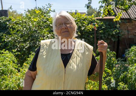 vieille dame dans l'arrière-cour, femme âgée dans son jardin, grand-mère souriant Banque D'Images