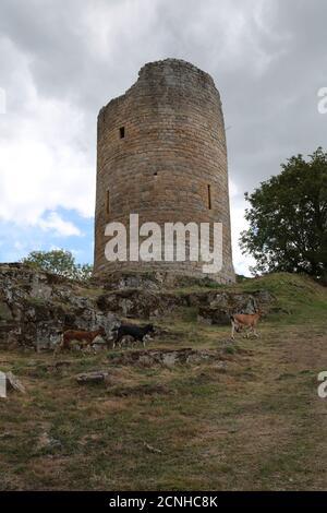 Château de Crozant, Vallée de la Sedelle, Crozant, Creuse, France Centrale, Europe Banque D'Images