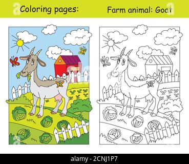 Colorier des pages avec la chèvre drôle mâchant un chou sur la ferme. Coloration et image colorée de chèvre. Illustration vectorielle de dessin animé. Illustration du stock pour Illustration de Vecteur