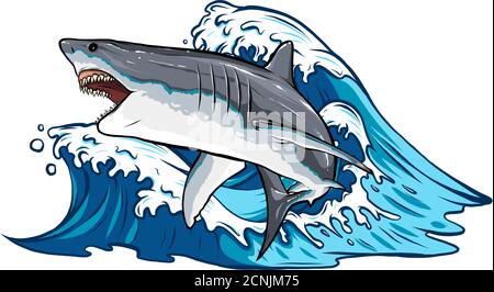 illustration vectorielle représentant un requin blanc Illustration de Vecteur