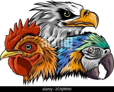 Illustration du modèle de scénario de logo Eagle Mascot Illustration de Vecteur