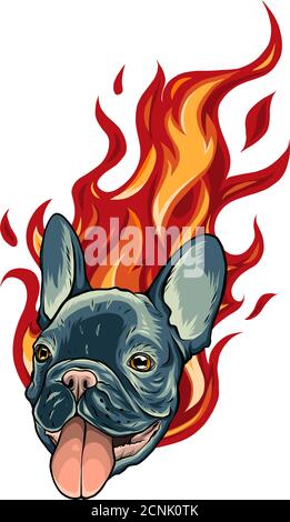 Bull Dog Tatouage Flamme en Mode bête Illustration de Vecteur
