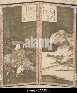 Surirono en forme de petit écran double. Banque D'Images