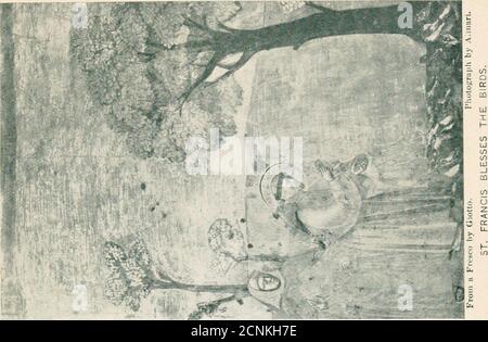 . Le troubadour de Dieu; l'histoire de Saint François d'Assise . Et Dieu vous nourrit, et vous donne les rivetet les fontaines de boire; il vous donne les montagnes et les vallées pour votre [93] DIEUX TROUBADOUR refuge, et les grands arbres pour vos nids, Et, même si vous ne savez pas comment tourner le norsow, Dieu vous habit et vos enfants.Dieu doit vous aimer beaucoup, puisqu'il vous offre tant de bénédictions, et donc, becareful, mes sœurs, du péché de l'ingratitude, et toujours chercher à louer Dieu. WhileFrancis a dit ces mots, tous ces oiseaux ont commencé à ouvrir leur bec, à s'étirer au-dessus de leur cou, et à se propager Banque D'Images