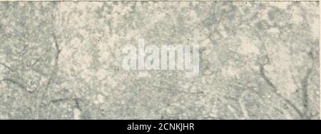 . Le troubadour de Dieu; l'histoire de Saint François d'Assise . Banque D'Images