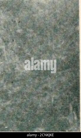 . Le troubadour de Dieu; l'histoire de Saint François d'Assise . LES COLLINES SONT COUVERTES D'OLIVIERS Banque D'Images