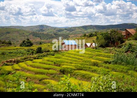 Les maisons des locaux sur l'île de Madagascar Banque D'Images