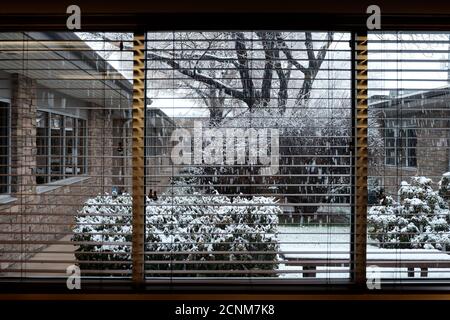 Vue d'une fenêtre de bureau avec de la neige tombant pendant un grosse tempête de neige en hiver Banque D'Images