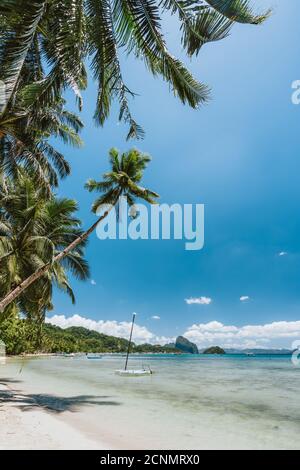 Palmiers de la plage de Corong Corong avec des bateaux traditionnels et le ciel bleu à El Nido, île de Palawan, Philippines. Vue verticale Banque D'Images