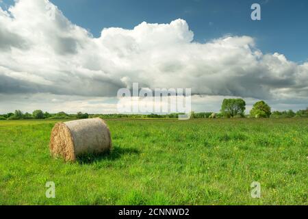 Balle de foin sur un pré vert et gros nuage blanc sur ciel bleu Banque D'Images