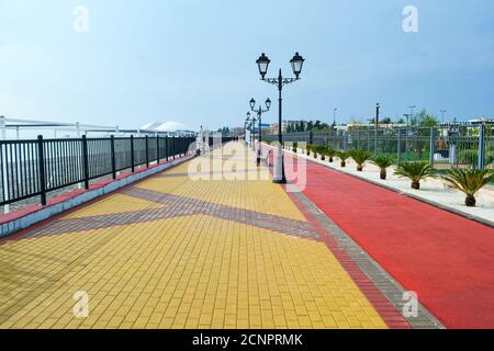 Chemin de remblai de mer poad et petits palmiers, Sotchi Russie Banque D'Images