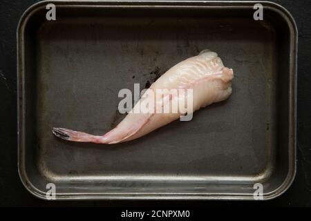 Un monkfish brut, ou anglerfish, queue, Lophius piscatorius, qui a été pelé en préparation à la cuisson. Dorset Angleterre GB Banque D'Images