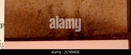 . Avec Wolfe au Canada : ou, la victoire d'un continent . sur là, mais il semblait comme s'il ne l'a pas remarqué, et a pris des painsèques spéciales pour essayer de surmonter Aggies se sentant contre lui. Tout en attendant à l'embouchure du Saint-Laurent AdmiralDurell avait réussi à obtenir des pilotes pour monter la flotte. Il avait navigué sur la rivière jusqu'au point où la navigation diffi-culte a commencé, et les navires de vhere ont généralement pris à bord des pilotes de rivière. Ici, il a hissé le drapeau français à la tête du navire, et les pilotes, croyant que les navires étaient un escadron français qui avait échappé à la montre des Anglais, sont venus offenser Banque D'Images