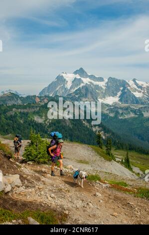 Des gens qui se sont emparées d'un chien sur le sentier des lacs Chain dans les montagnes North Cascade dans l'État de Washington, aux États-Unis, avec Mt. Shuksan en arrière-plan. Banque D'Images