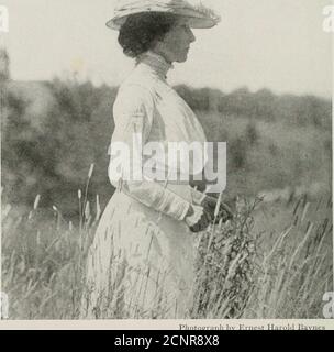 . Le livre des oiseaux; oiseaux communs de ville et de pays et oiseaux de gibier américain . Ilioi.IKI ill l&gt;y i;RM&gt;t Harold Baynes MÈRE ET FILLE il s'agit d'une photographie d'une clickadce sauvage qui nourrit son jeune en juin. Elle ne craint pas pendant l'été le liand tliat tliat la nourrit en hiver. 1/7 ^^^. LE GENRE BKST D'OISEAU SUR UN CHAPEAU enregistré comme ayant été élevé dans des boîtes de nid d'une sorte ou d'une autre: Canard de bois, faucon d'armoise, hibou de hurlement, scintillement, pic à tête rouge, grand - flycatcher à crête, étoiles, Ég-lish, maison-finch, hirondelle et vert violacé, violet martin, housewren, Bwmen, Parkman wren, wren, wren Banque D'Images