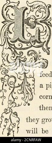 . La famille Waldorf ; ou, les lagends du grand-père . À) ETLDF OU, LES PIERRES DE PLOUHINIC.. YING au-delà de Hennebon, près de la côte de thesea, est un petit village pauvre, appelé Plouhinic, entouré de plaines de bysandy, diversifié par une forêt de sapins, et pro-ducting ni l'herbe assez tofeed an ox, ni le gramme assez pour engraisser le cochon. Mais si les gens ont mais littlecorn et peu de bétail, ils peuvent se réconforter avec l'idée, que lorsqu'ils grandissent assez riche pour construire une ville, therewill ne soit pas manque de pierre pour leurs palais.le pays autour est littéralement parsemé de ces 199 pierres singulières, whi Banque D'Images