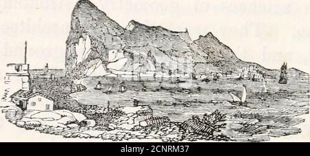 . Les histoires de Robert Ramble [psepud.] sélectionnées de l'histoire de l'Angleterre, de la conquête à la révolution . vous vous demanderez certainement la morée, quand je vous dis que les Maures ont présenté en Espagne les arts de la poésie et de la musique, et les sciences de la géométrie, de l'astronomie, et de la médecine. Ils étaient les meilleurs architectes et les maçons, et ils cultivaient le sol entre les agriculteurs de l'époque. Leurs amuse-ments étaient divers, mais surtout de génie militaire, car ils avaient des inclinaisons et des tournas ; et les chevaliers chrétiens ne refusaient pas non plus de briser une lance à ces scènes festives avec le théunbe Banque D'Images