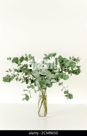 Un bouquet de brindilles d'eucalyptus vert dans un pot en verre sur la table. Banque D'Images