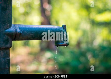 Ancienne pompe manuelle à levier d'eau verte et rouillée avec de l'eau qui coule par le bec verseur, la dernière goutte d'eau, la sécheresse. Arrière-plan vert flou Banque D'Images