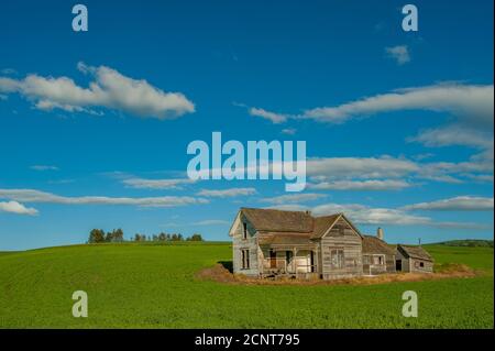 Vue sur l'ancienne ferme Weber abandonnée dans le comté de Whitman, dans la Palouse, près de Pullman, État de l'est de Washington, États-Unis. Banque D'Images