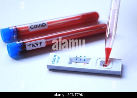 Travailleur médical plaçant l'échantillon de sang sur le test de diagnostic rapide identification Anticorps contre le coronavirus SRAS-COV-2 COVID-19 Banque D'Images