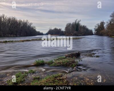 Rivière, estuaire, eau courante, plaine inondable, eau, courant, forêt alluviale, nature Banque D'Images