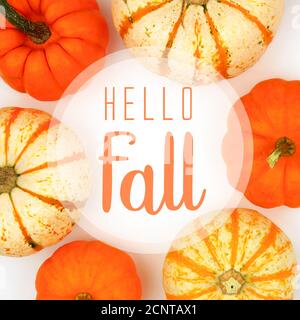 Carte de vœux Hello Fall avec cadre de citrouilles d'automne assorties sur fond blanc Banque D'Images