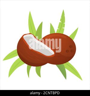Noix de coco Icon entière et cassée noix avec feuilles de paume . Illustration de Vecteur