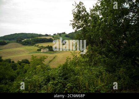 Ferme abandonnée, paysage près de Fossombrone, Marche, Italie, été, Banque D'Images