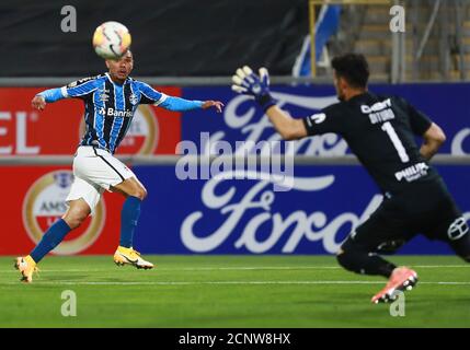16 septembre 2020 ; Stade San Carlos de Apoquindo, Santiago, Chili ; coupe Libertadores, Universidad Catolica versus Gremio ; Luiz Fernando de Gremio Banque D'Images