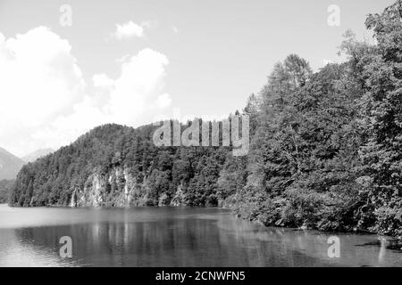 Prise de vue en niveaux de gris d'arbres réfléchis sur un lac Banque D'Images