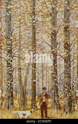 . Notre jeu à plumes; un manuel du jeu nord-américain oiseaux . 9. 6 Banque D'Images