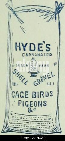 . Notes d'oiseau . HYDES SPÉCIALITÉS DE NOURRITURE D'OISEAUX. GRAIN TONIQUE HYDES PATENTIRON. Iiicorporatecl avec leur vShellGravel pour cage Birds.IMMS;1 ^^*^ ^ sacs Calico. HYDES ESTHÉTIQUE SEEDSFOR CHANT OISEAUX.. Banque D'Images