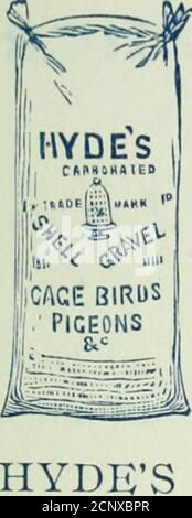 . Notes d'oiseau . HYDES SPÉCIALITÉS DE NOURRITURE D'OISEAUX. GRAIN TONIQUE HYDES PATENTIRON. Incorporé avec leur ShellGravel pour cage Birds,»vendu des sacs Ill Calico, ESTHÉTIQUE SEEDSFOR CHANT OISEAUX. Banque D'Images