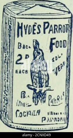 . Notes d'oiseau . GRAIN TONIQUE HYDES PATENTIRON. Incorporé avec leur ShellGravel pour CA^^e Birds. /i^^iimn ?! ^JO*^ Ill Calico Bas^s. GRAINES ESTHÉTIQUES/^OJ^ OISEAUX CHANTEURS. NOURRITURE HYDESPARROT. Banque D'Images