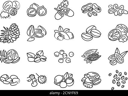 Jeu d'icônes de ligne de couleur de noix et de grains. Les noix sont les fruits à coque dure de certaines plantes. Les graines sont une petite plante comestible enfermée dans un manteau de semence Illustration de Vecteur