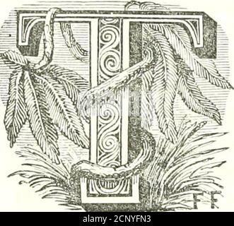 . Sports de terrain de Frank Forester des États-Unis, et des provinces britanniques, de l'Amérique du Nord . coupe d'étain ou deux, et am-munition. Il n'y a pas plus de deliglitfnl manière tiiat je peux imaginer de passer-ing quelques mois, pour un jeune homme de loisirs, que d'un tel voyage dans le désert; et s'il temps ses mouvements, pour être DES SPORTS DES PRAIRIES. 2G1 aux grandes chutes de Saint-Antoine, ou là, au début du mois d'octobre, et peut obtenir la permission d'accompagner M. Sibleys partie sur les excursions de chasse qu'il fait annu-Ally, il aura, en toute probabilité, assez de sport et d'excitation, composé de Banque D'Images