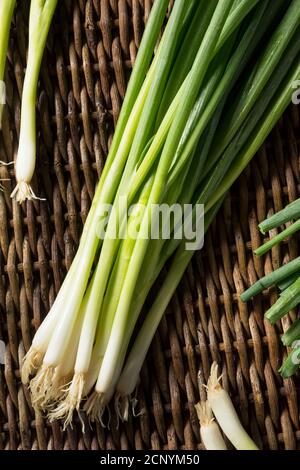 Oignons verts biologiques crus prêts à couper Banque D'Images